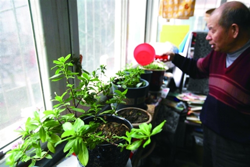 闲暇的时候,徐健喜欢养花